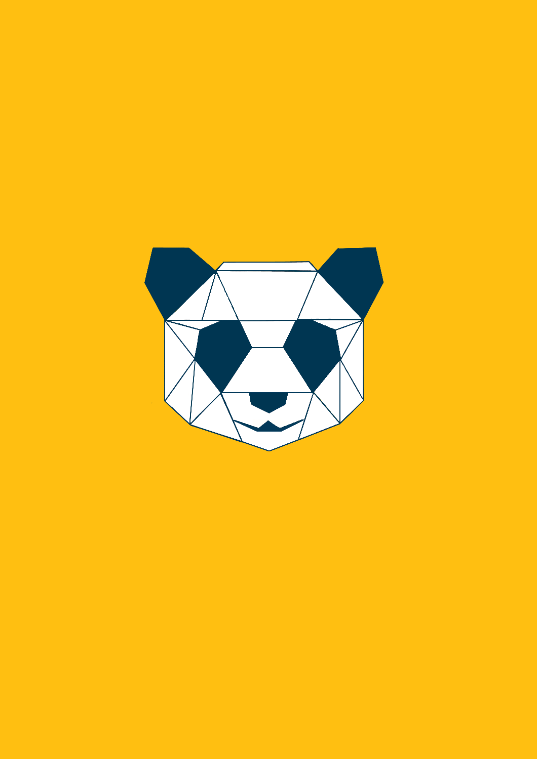 "PANDA " - HALF SLEEVE T-SHIRT'S