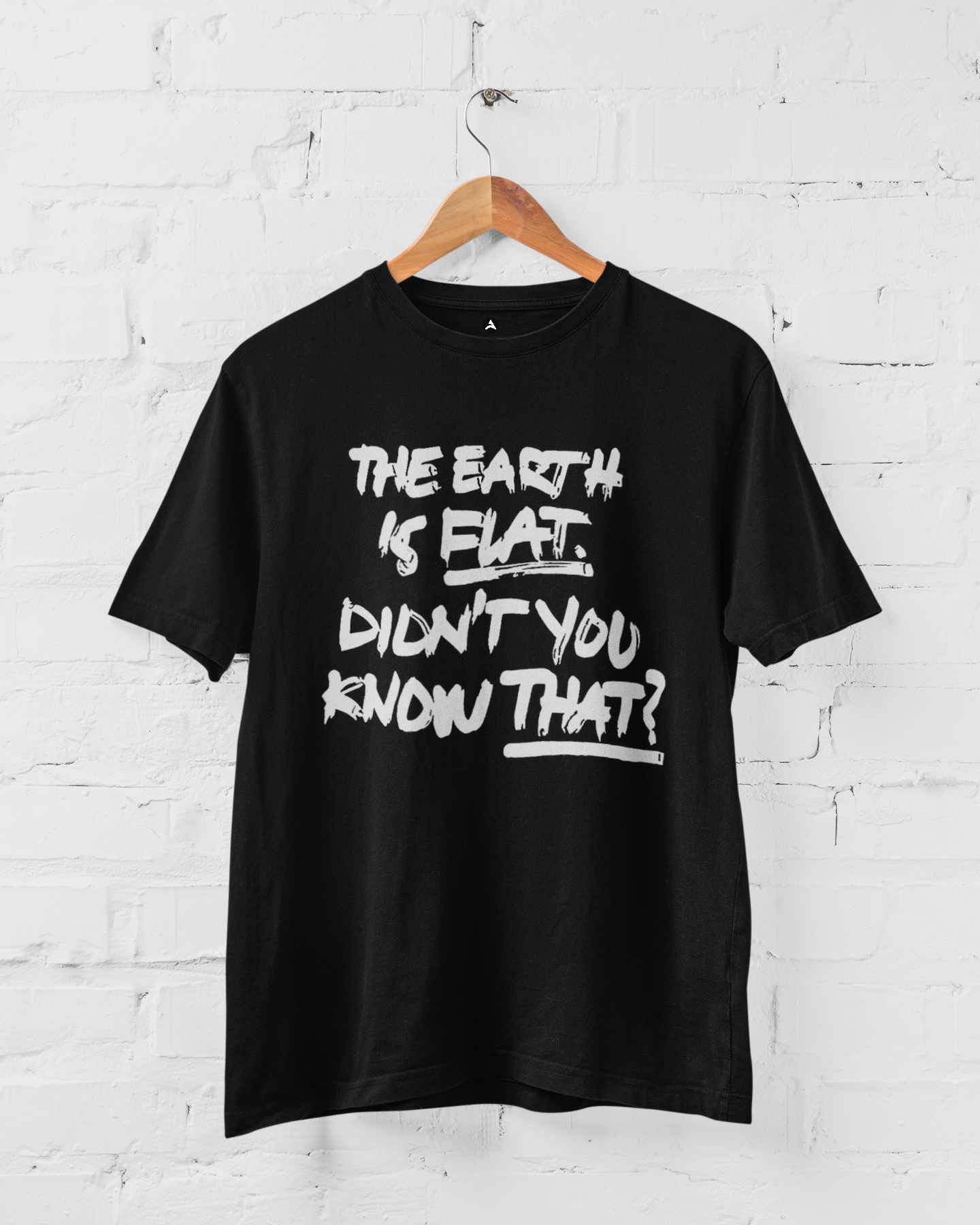 The Earth is Flat- Yoongi Unisex Regular Fit T-Shirts